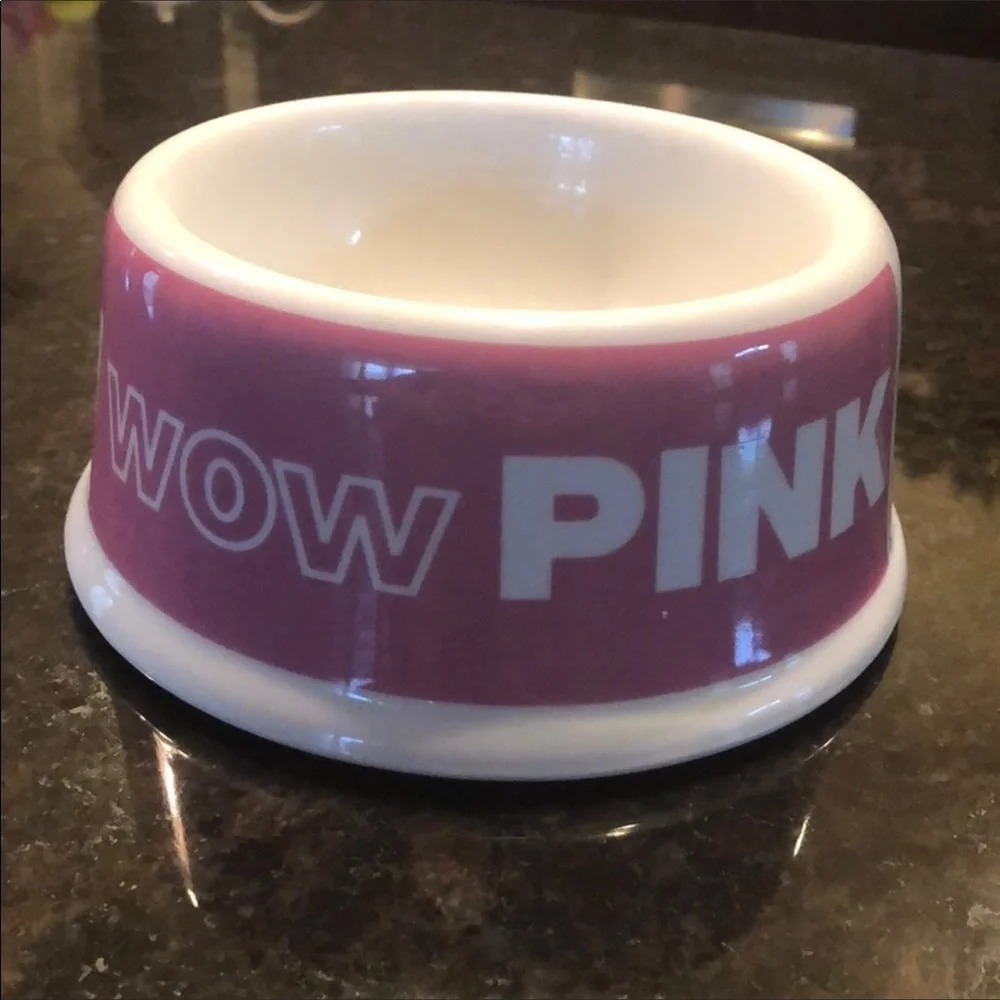 RARE Pink Victoria’s Secret Ceramic dog bowl